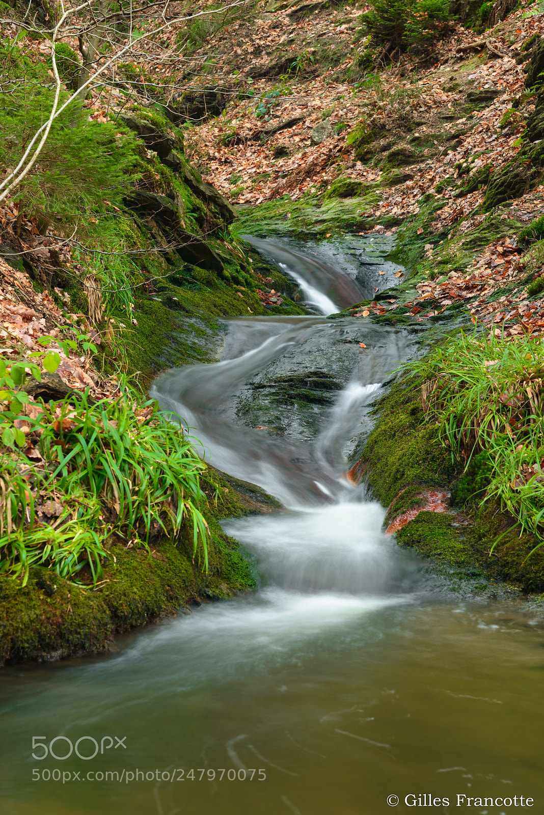 Nikon D800 sample photo. Torrent photography