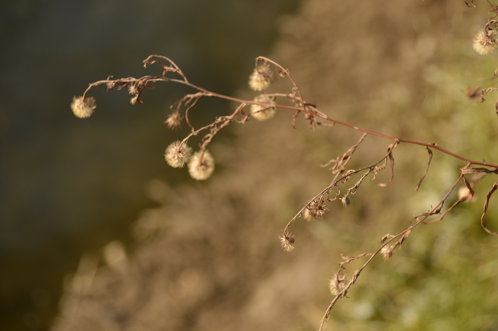 Nikon D3200 + Sigma 18-250mm F3.5-6.3 DC Macro OS HSM sample photo. Above the river photography