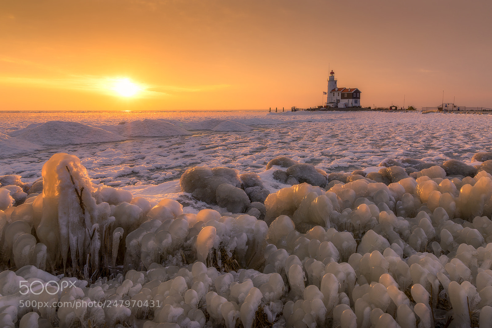 Nikon D810 sample photo. Ice ice baby photography