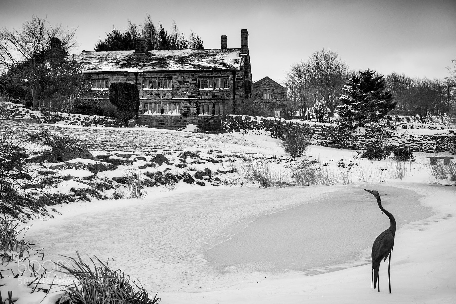 Canon EOS 750D (EOS Rebel T6i / EOS Kiss X8i) sample photo. On frozen pond photography