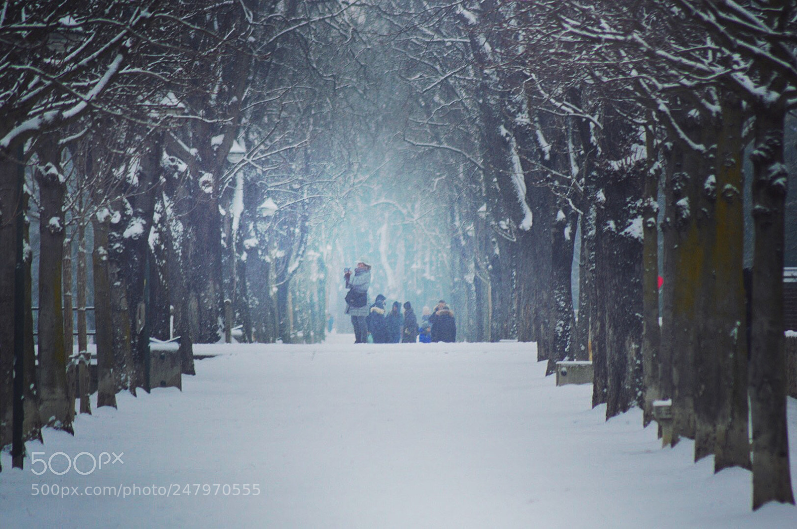 Nikon D3200 sample photo. Untitled photography