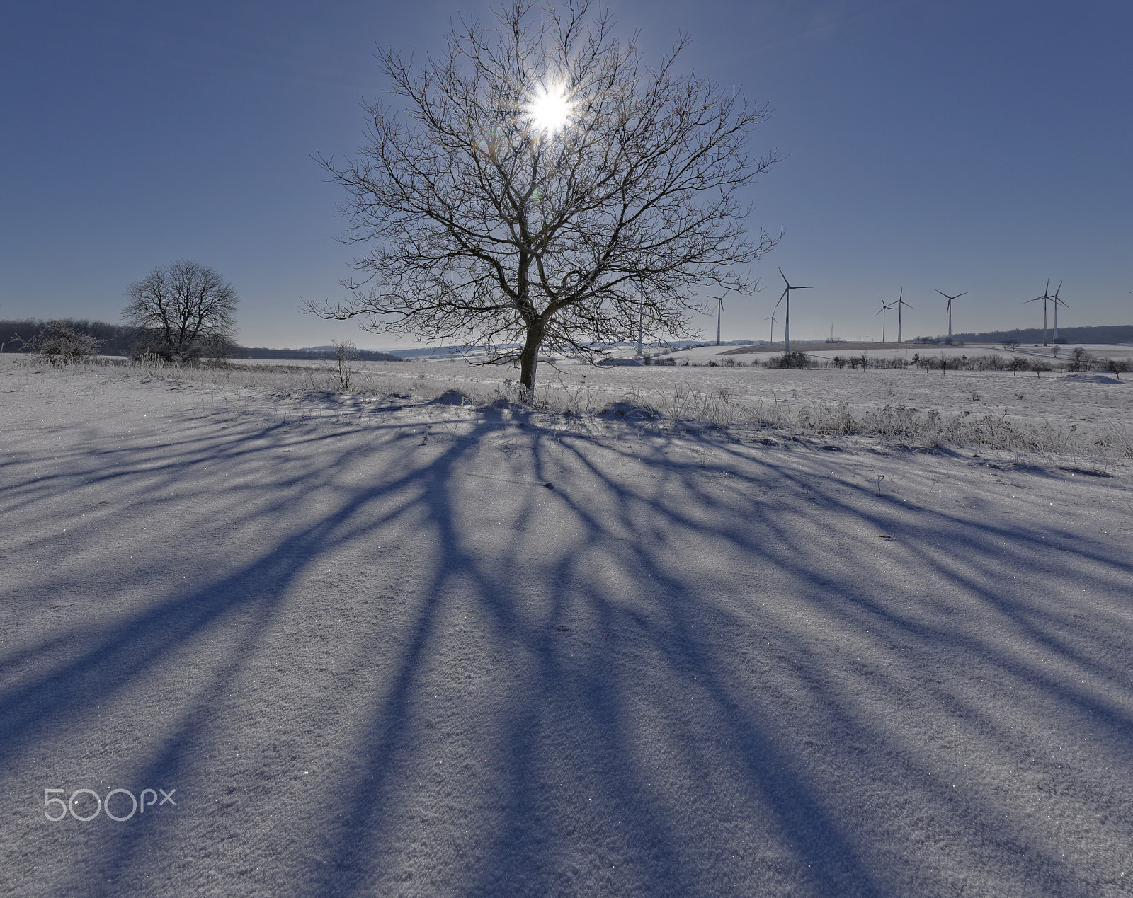 Nikon D5300 + Sigma 10-20mm F3.5 EX DC HSM sample photo. Winter sun photography