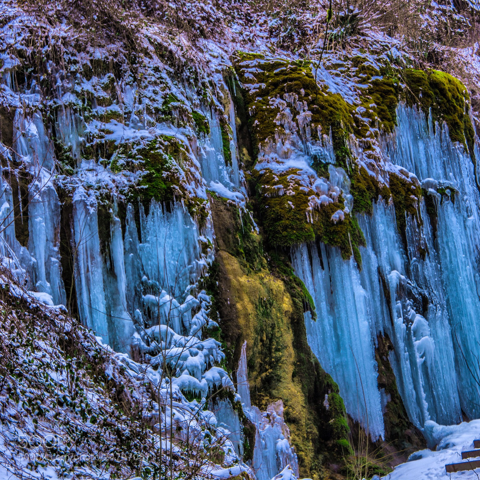 Nikon D7200 sample photo. Wonderful wintercolours photography