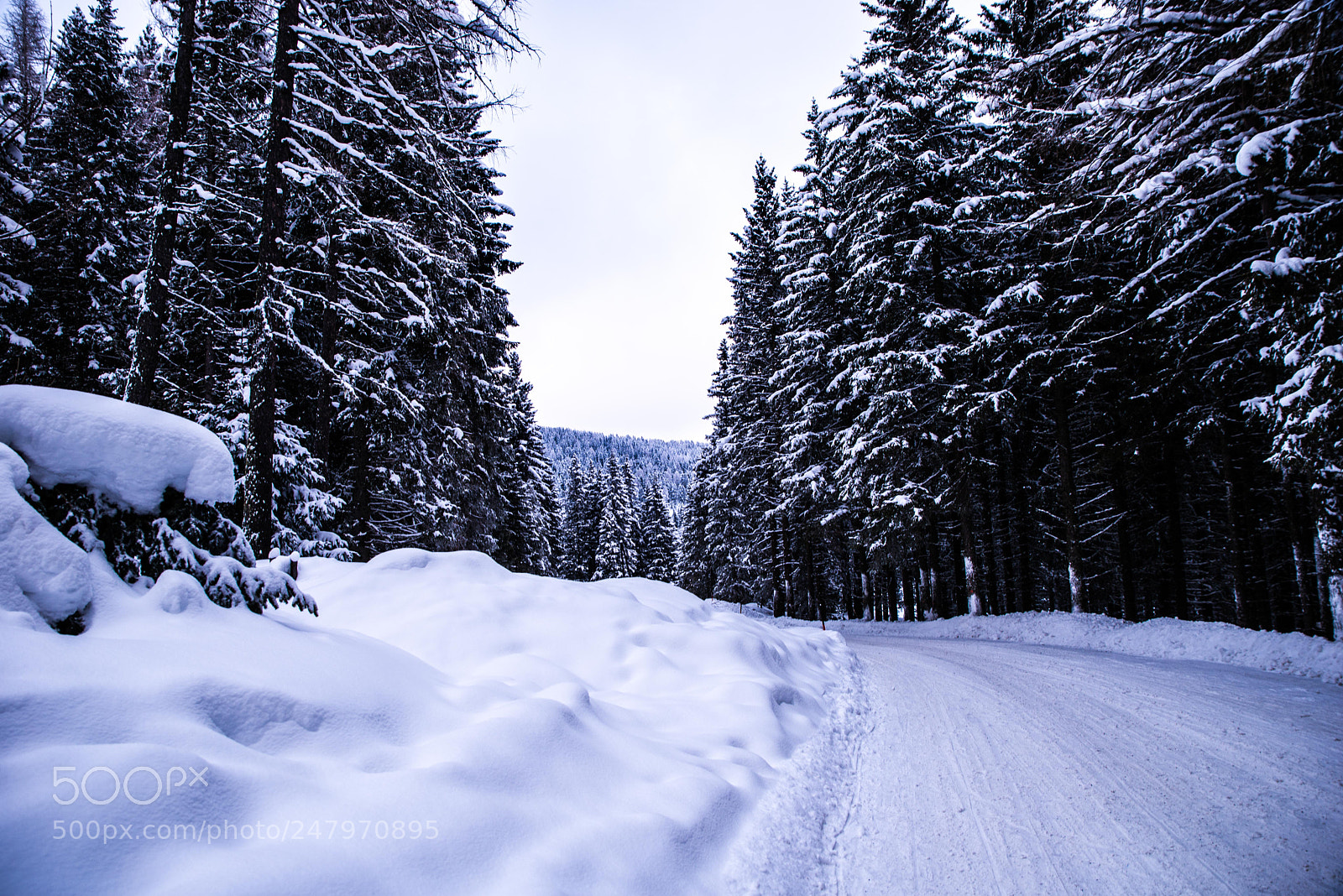 Nikon D610 sample photo. Winter in austria photography