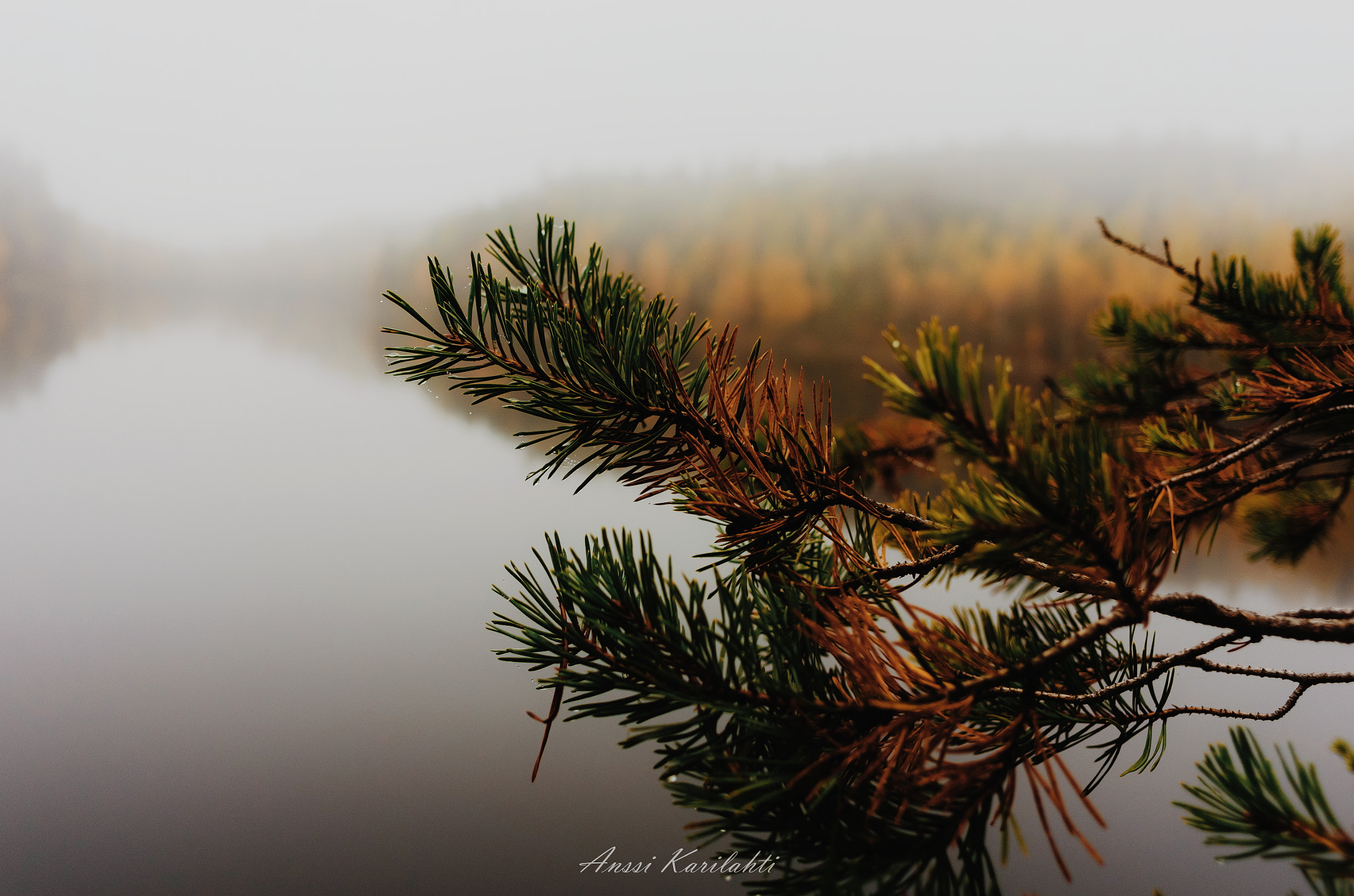 Nikon Coolpix A sample photo. Autumn mood photography