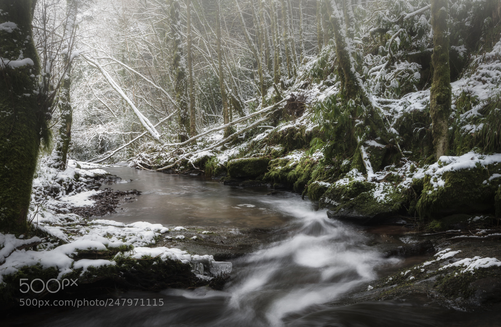 Nikon D610 sample photo. Snowy glen photography