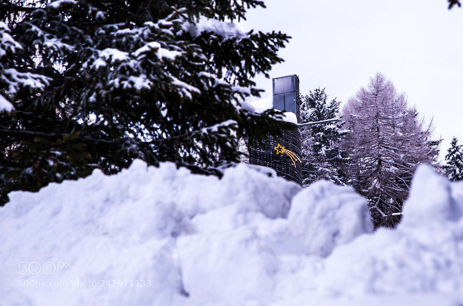 Nikon D610 sample photo. It is still christmas photography