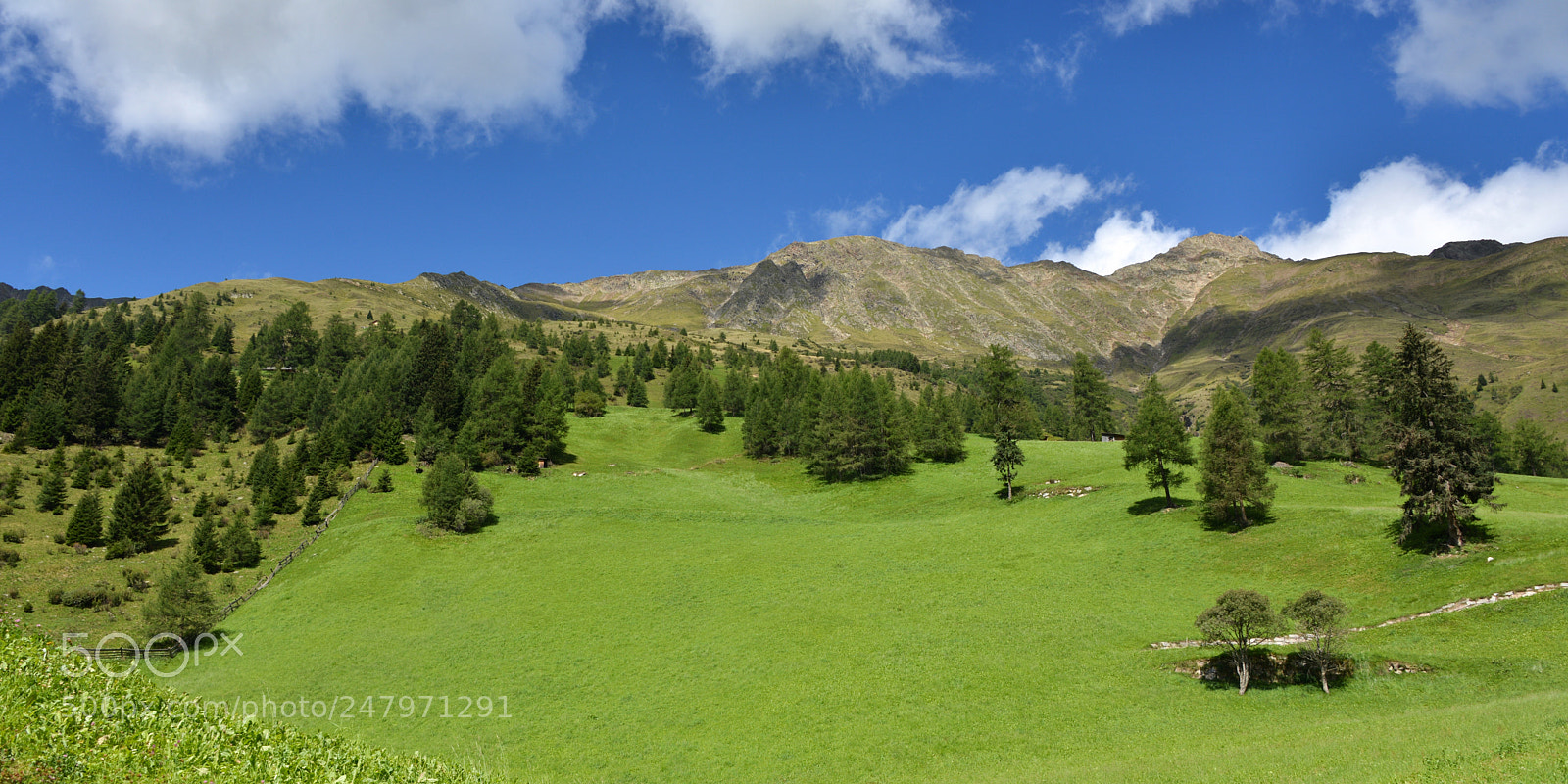 Nikon D600 sample photo. Alta val casies ii photography