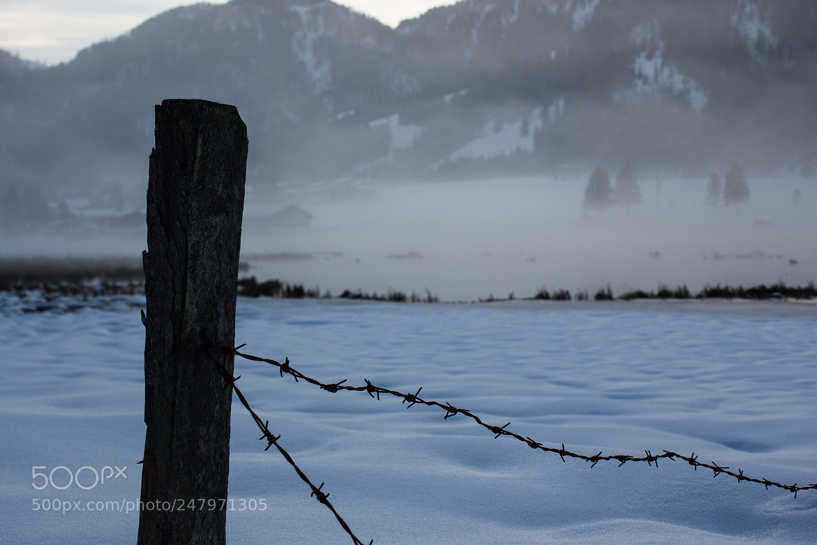 Canon EOS 650D (EOS Rebel T4i / EOS Kiss X6i) sample photo. Barbwire between the foggy photography