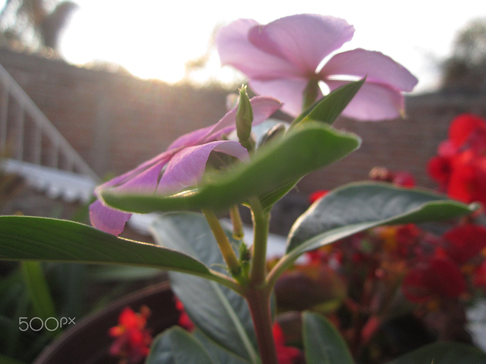 Canon PowerShot A2200 sample photo. Alza photography