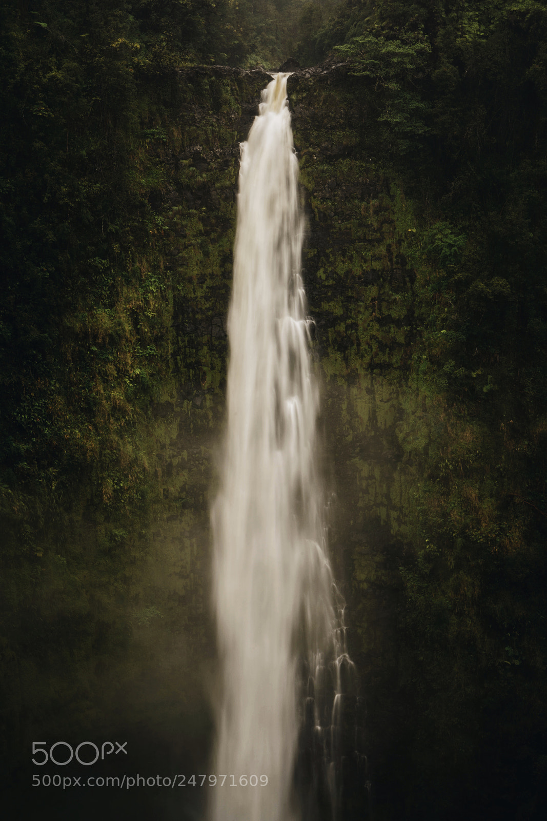 Sony a7R II sample photo. "the lone fall." photography