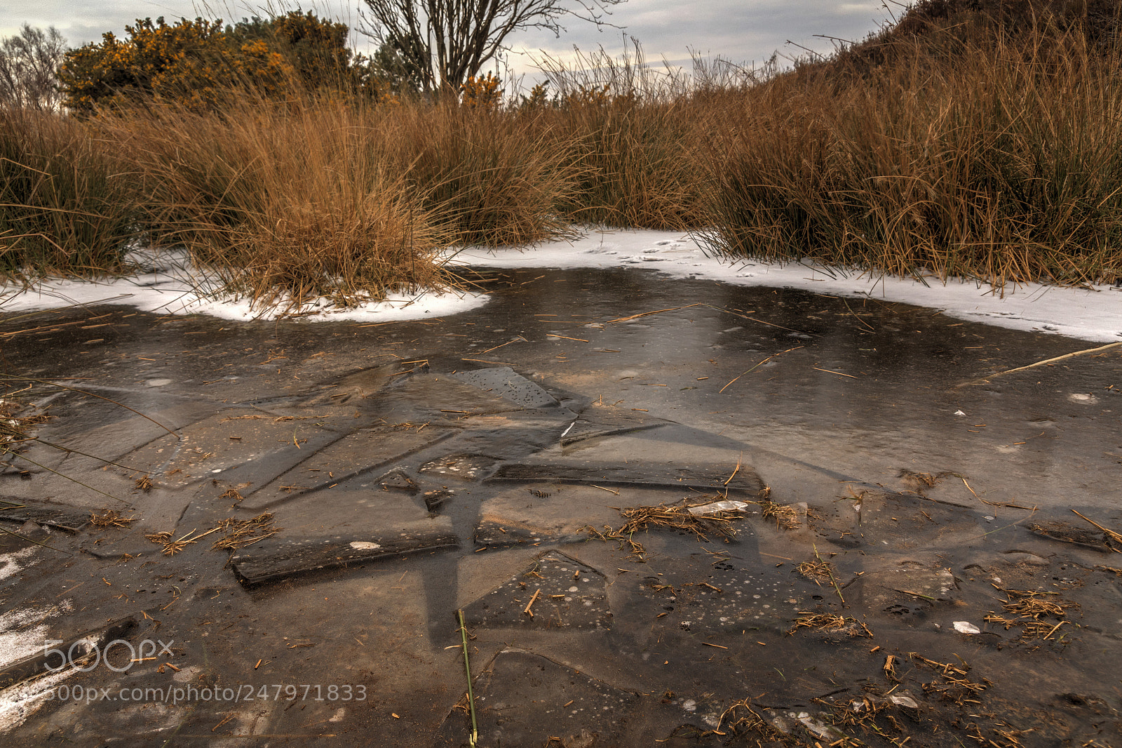 Canon EOS 650D (EOS Rebel T4i / EOS Kiss X6i) sample photo. Frozen cracks (61/365) photography