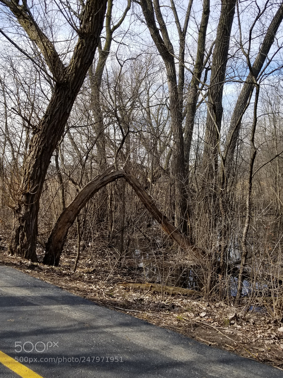 Samsung Galaxy S8 sample photo. Untitled photography