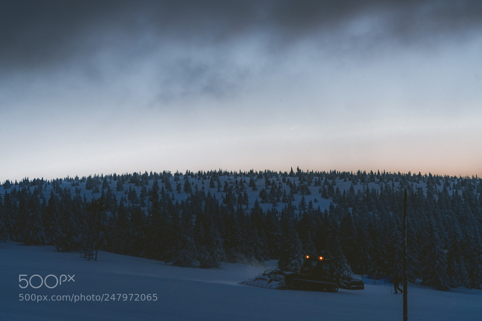 Sony a7R II sample photo. Hala szrenicka photography