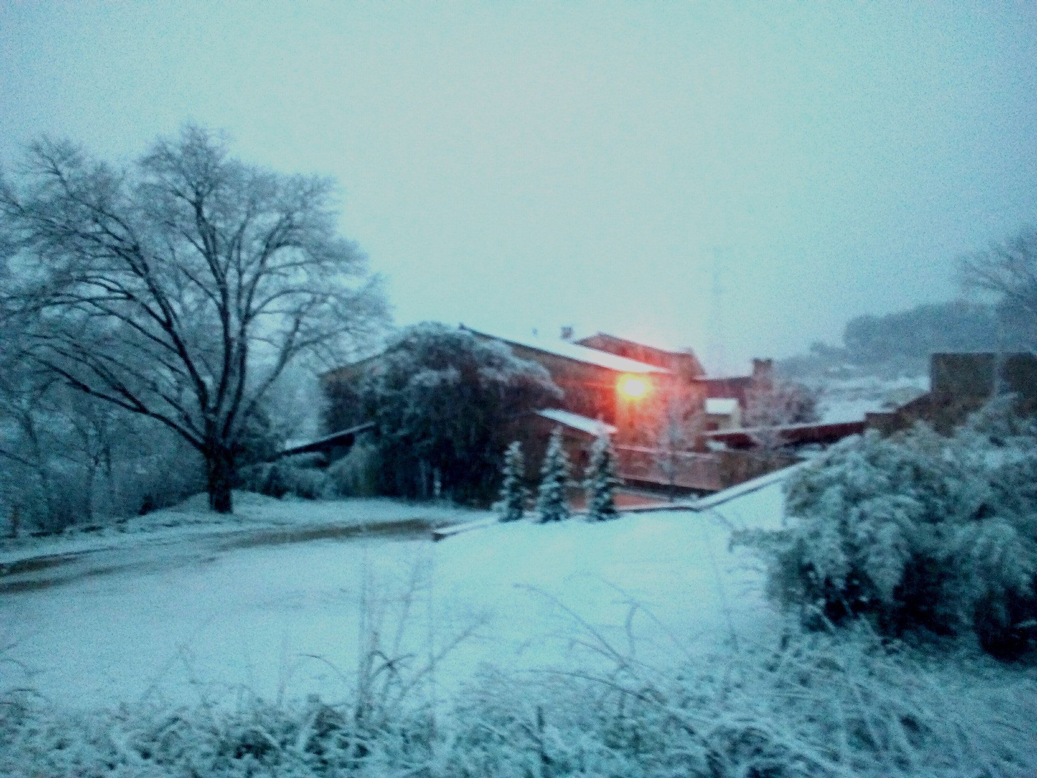 WIKO LENNY3 sample photo. Snow ball photography