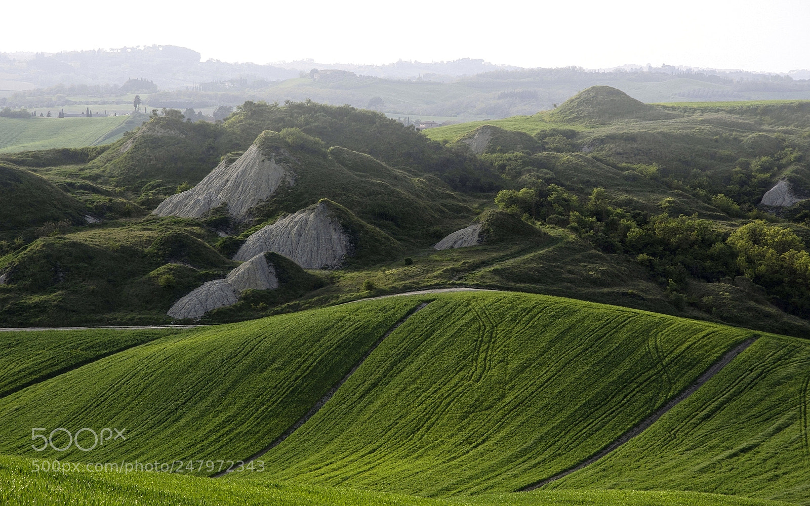 Nikon D7100 sample photo. Mist photography