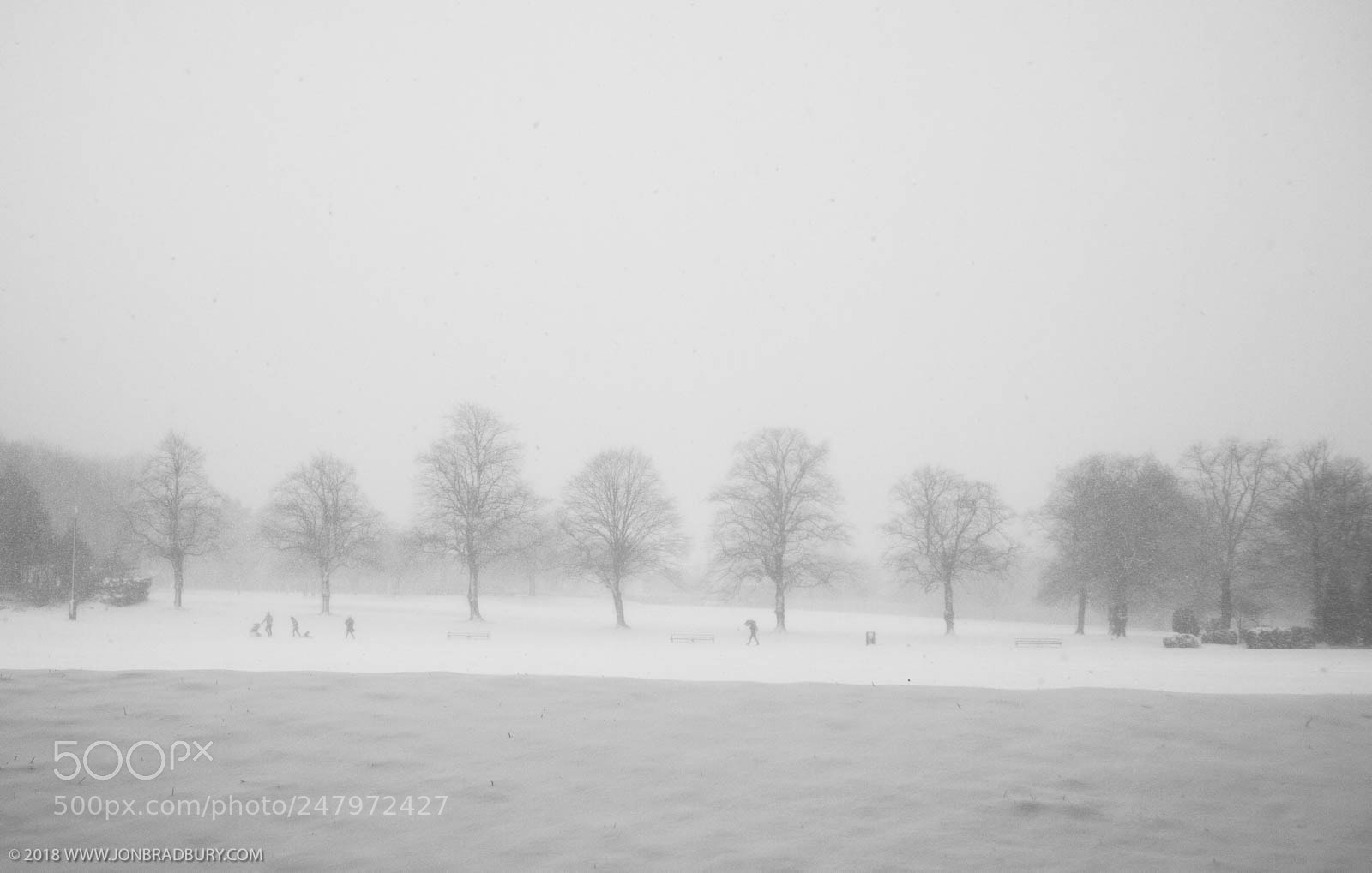Olympus PEN E-PL3 sample photo. Black & snow photography