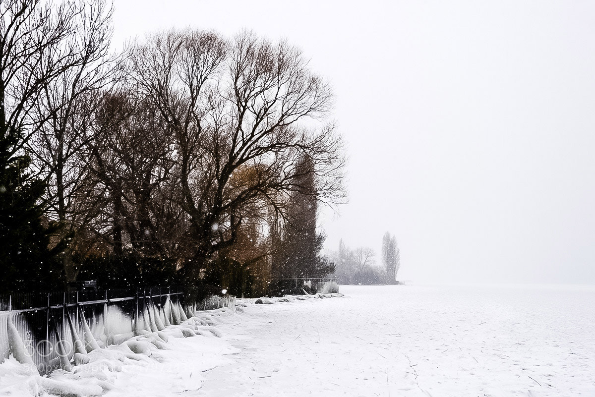 Nikon D610 sample photo. Ice and snow photography