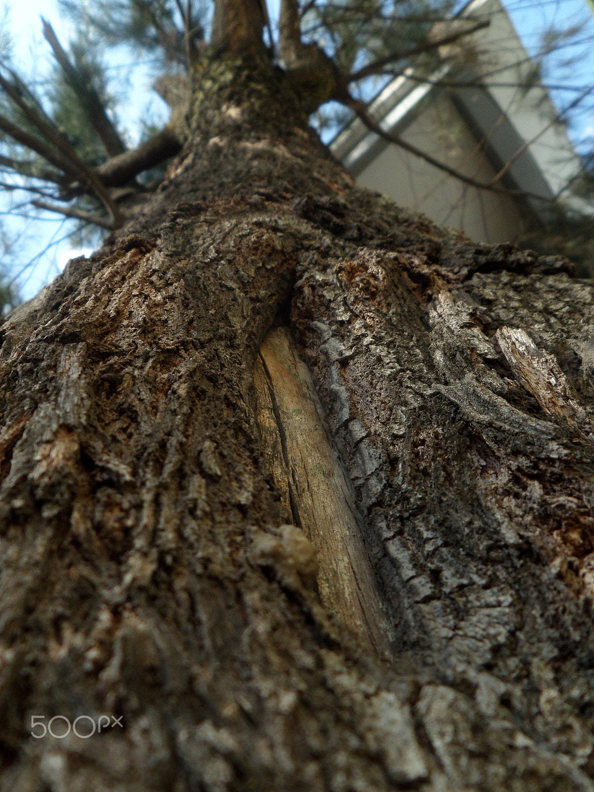 Samsung WB30F/WB31F/WB32F sample photo. Dureza? photography