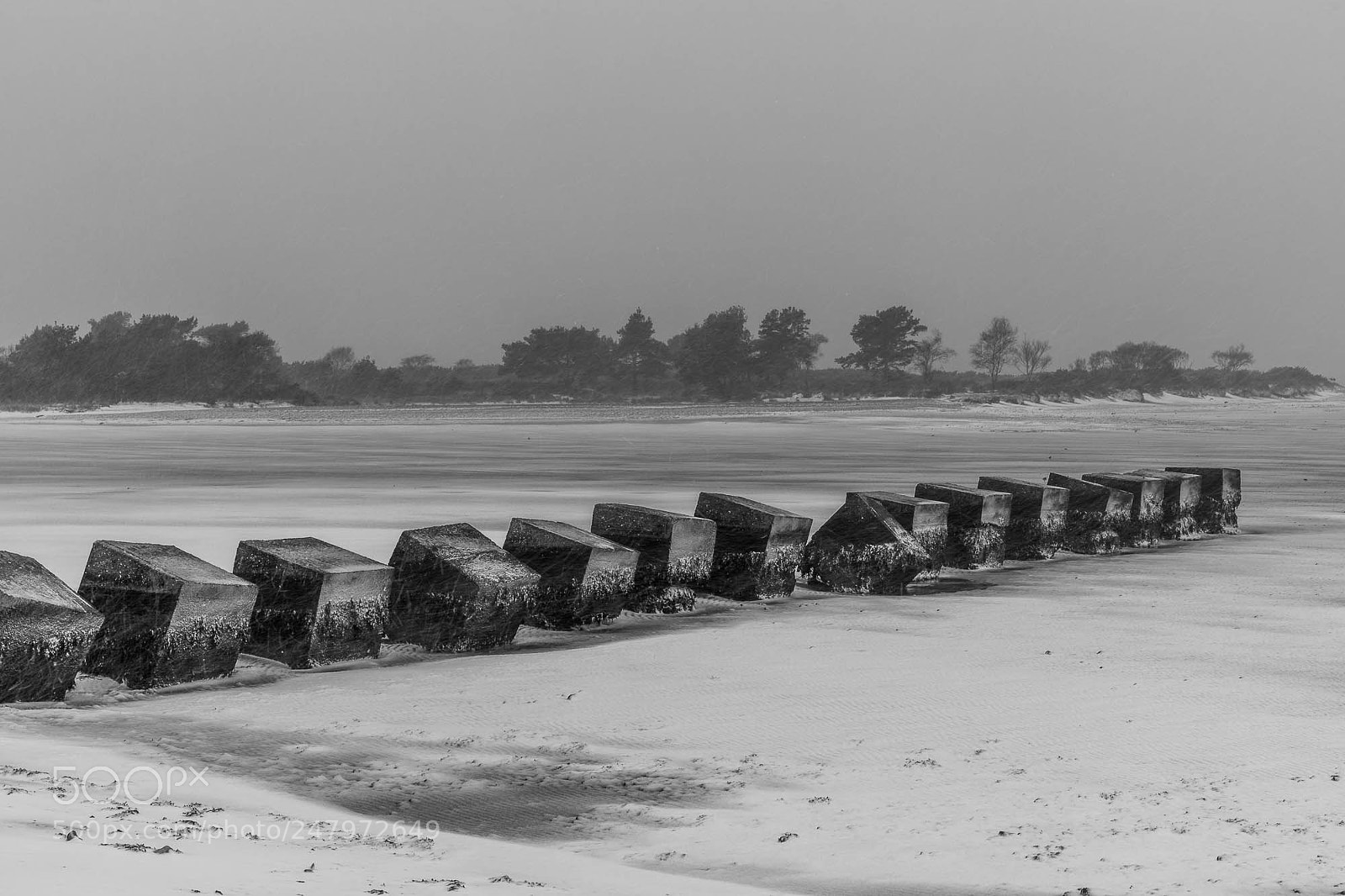 Canon EOS 6D Mark II sample photo. Snow storm at bramble photography