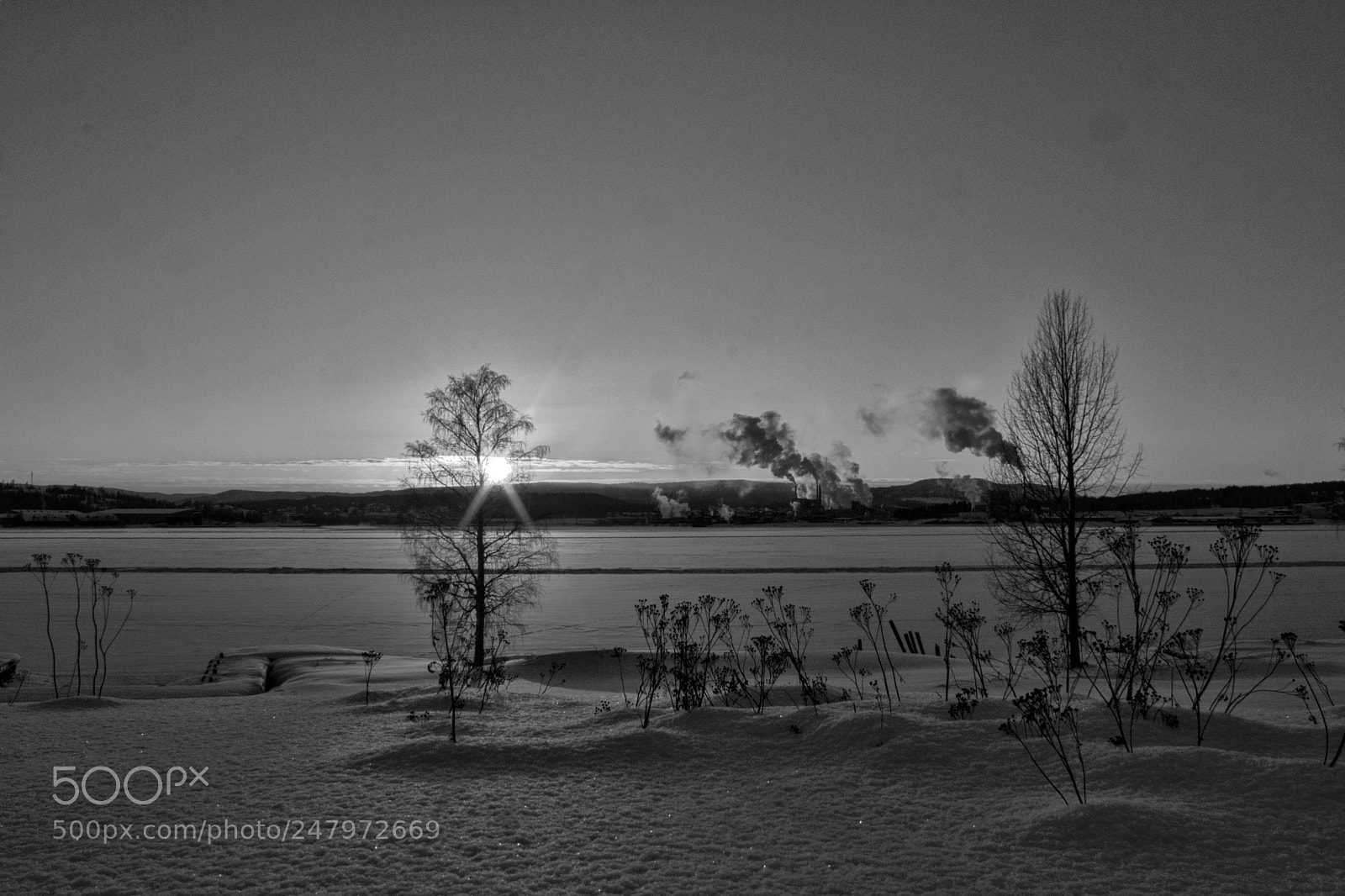 Canon EOS 550D (EOS Rebel T2i / EOS Kiss X4) sample photo. Sunset bw photography