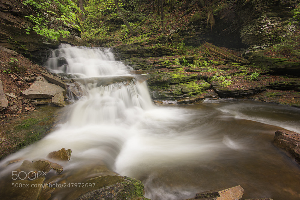 Nikon D810 sample photo. Flow photography