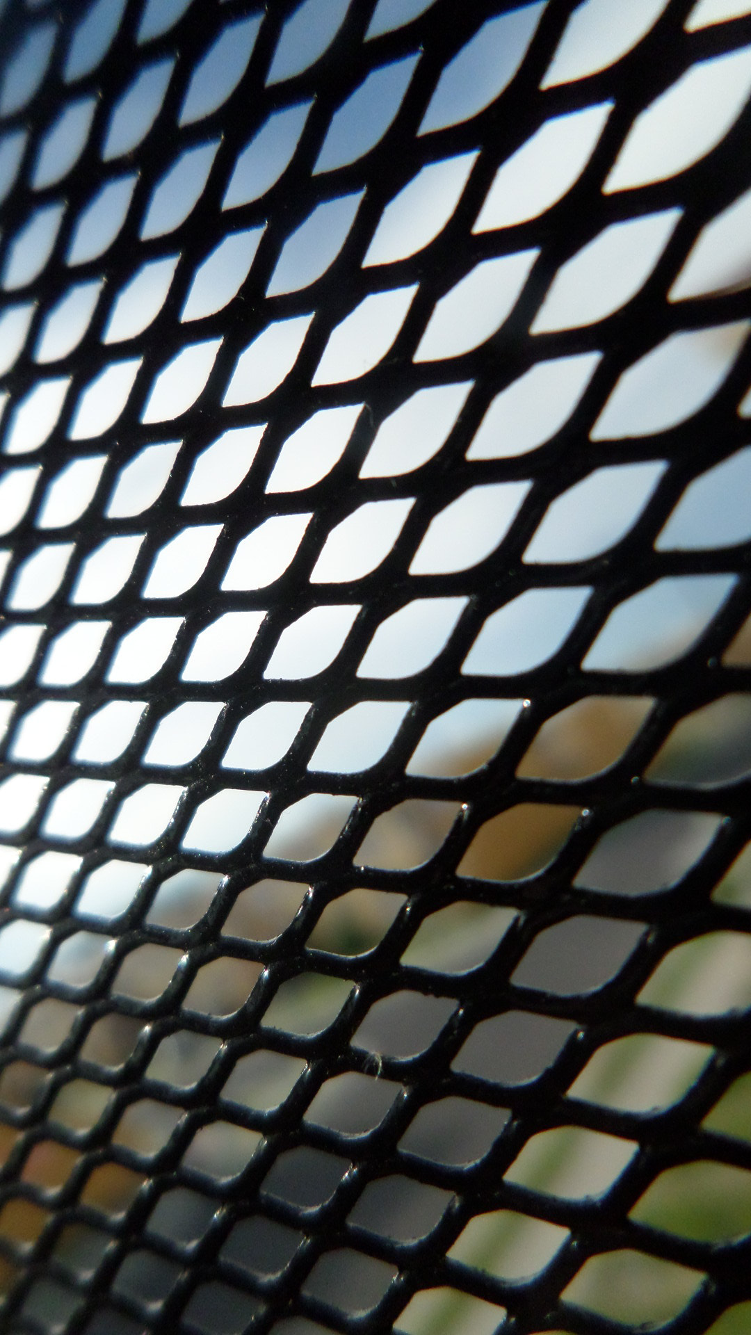 Samsung WB30F/WB31F/WB32F sample photo. Atrapado. photography