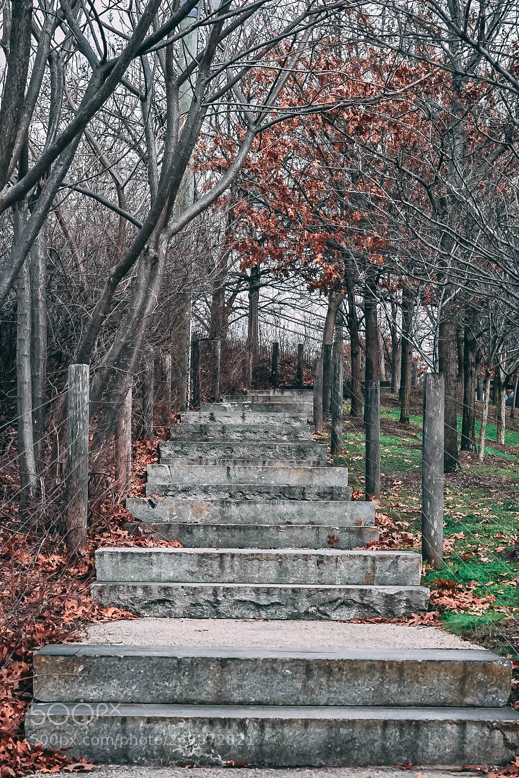 Nikon D3400 sample photo. Walk forward never backwards photography