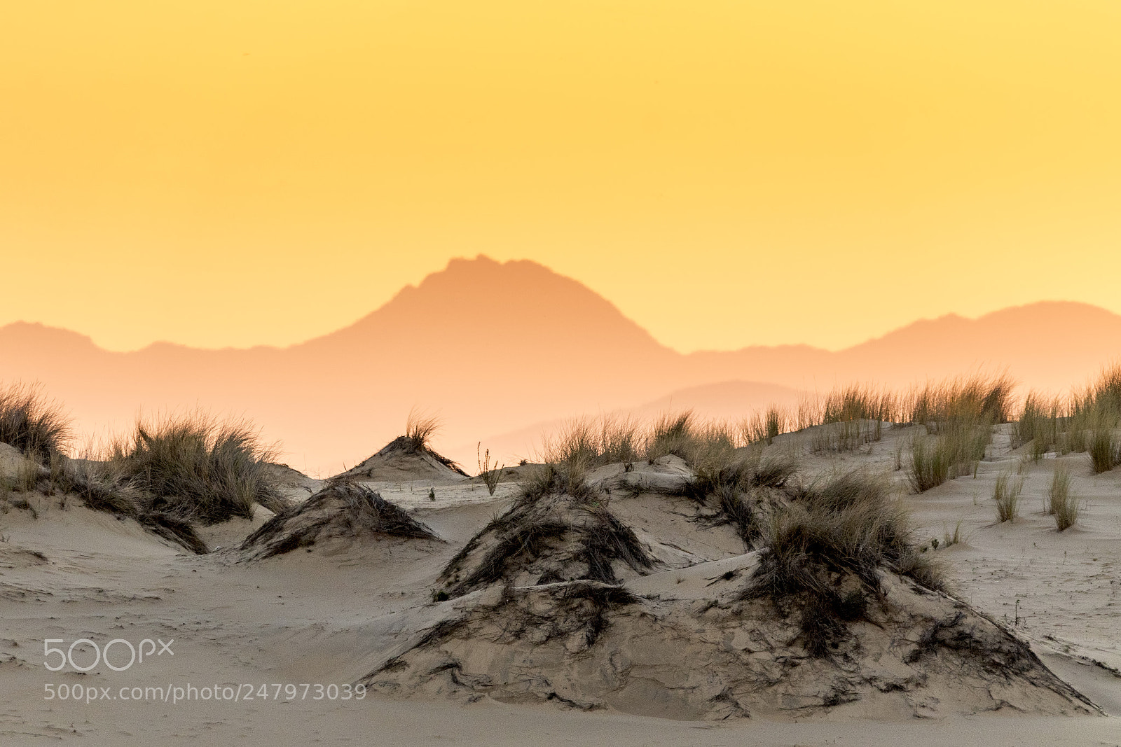 Canon EOS 7D Mark II sample photo. 20171217 doñana - 127 photography