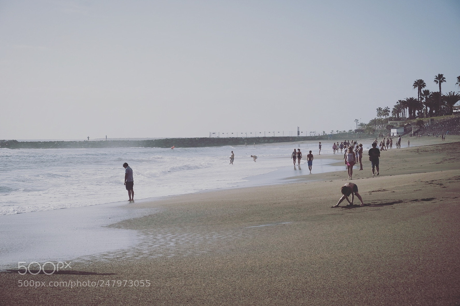 Fujifilm X-T20 sample photo. Untitled photography