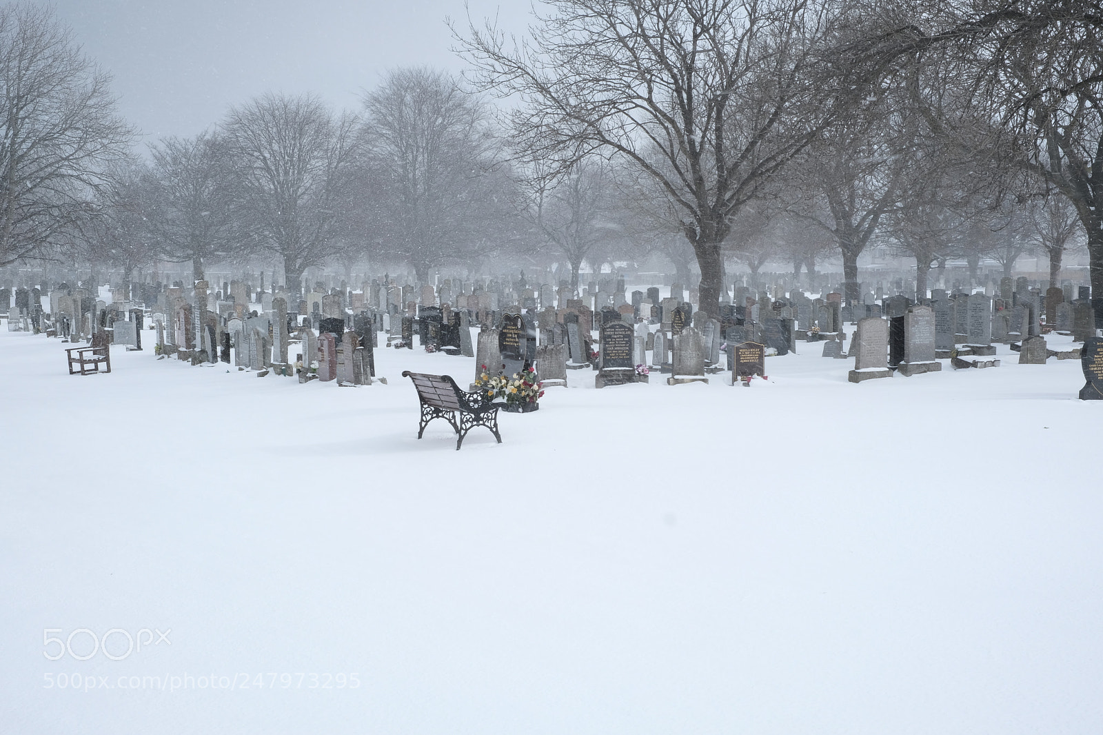Fujifilm X-T2 sample photo. Storm in the cemetery photography