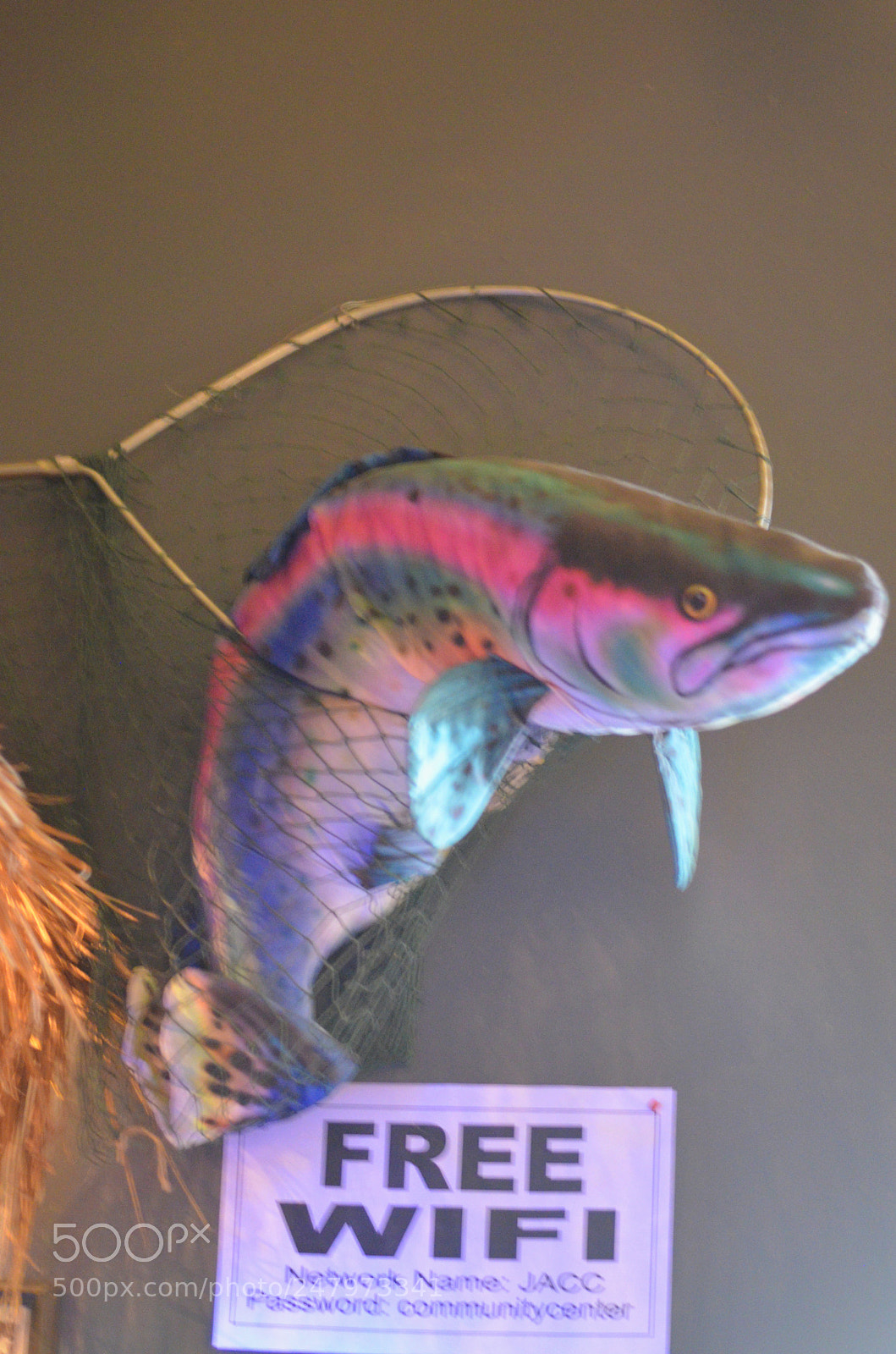 Nikon D5100 sample photo. Sweet  sixteen photography