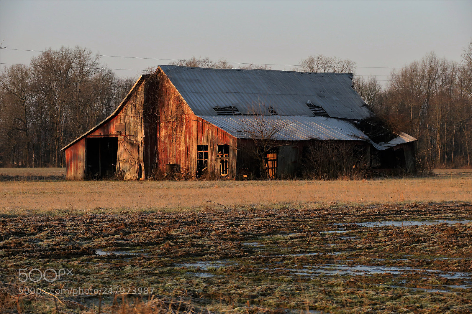 Canon PowerShot G3 X sample photo. Early morning ont he photography