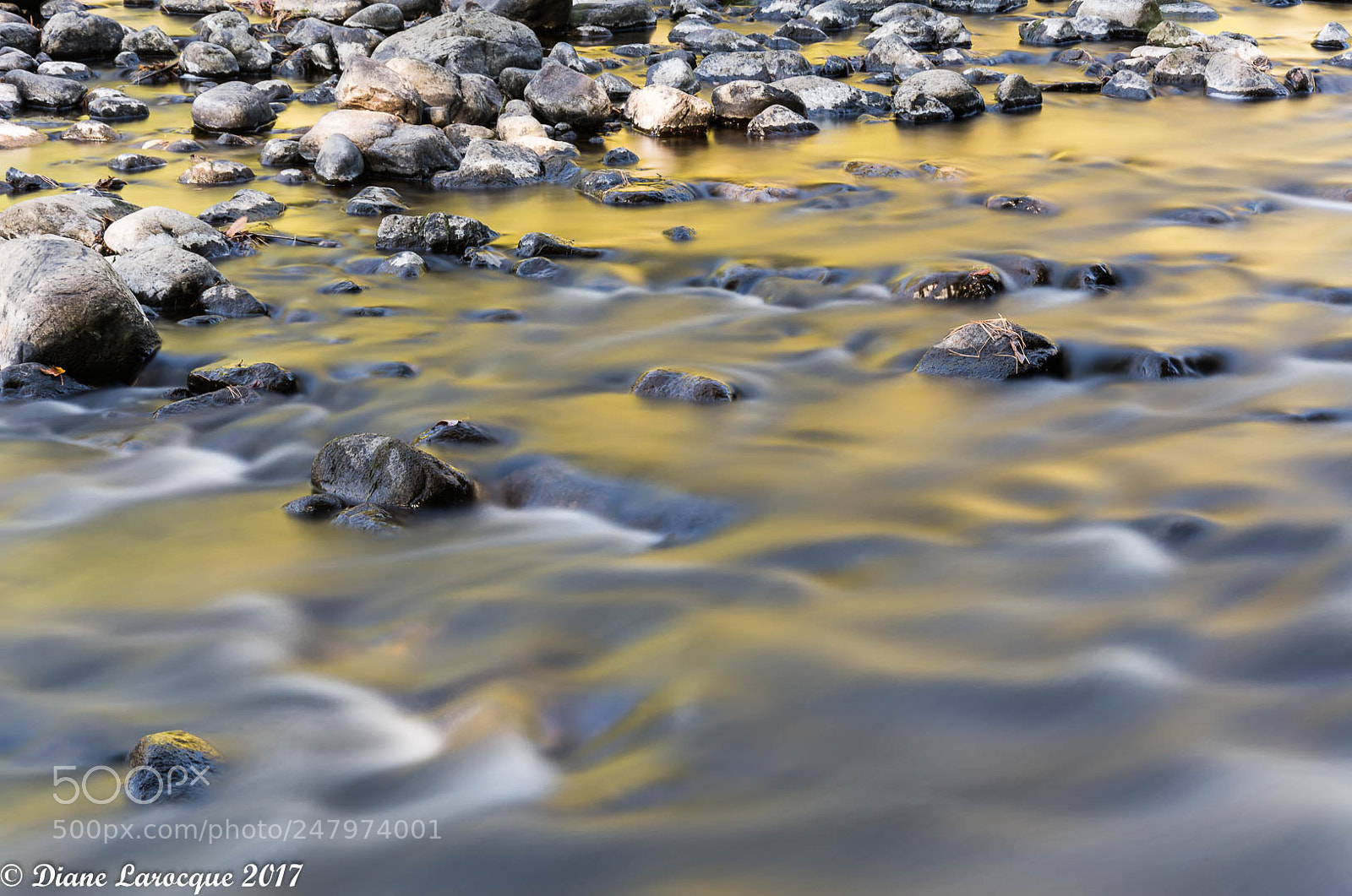 Nikon D7100 sample photo. Parc r gional de photography