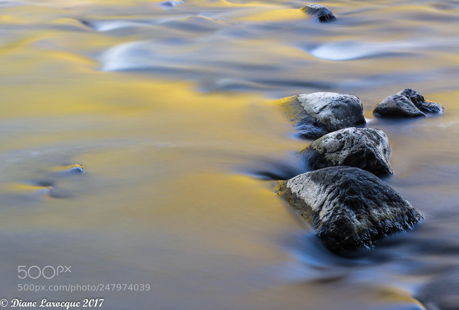 Nikon D7100 sample photo. Parc r gional de photography
