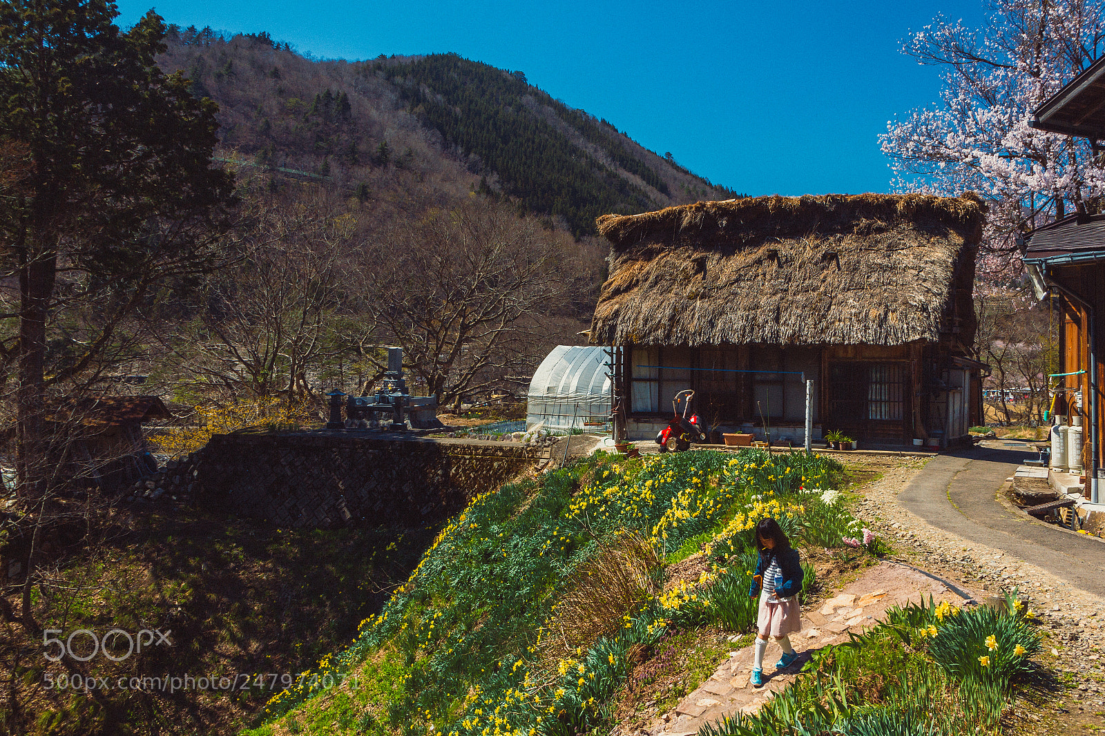 Canon EOS 550D (EOS Rebel T2i / EOS Kiss X4) sample photo. Shirakawa-go #1 photography
