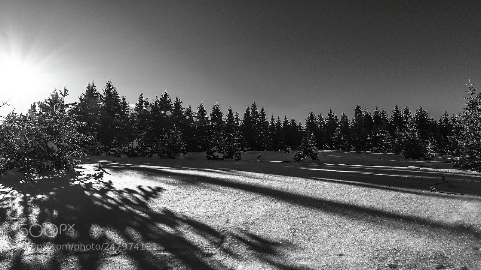 Olympus OM-D E-M1 Mark II sample photo. Long shadows photography