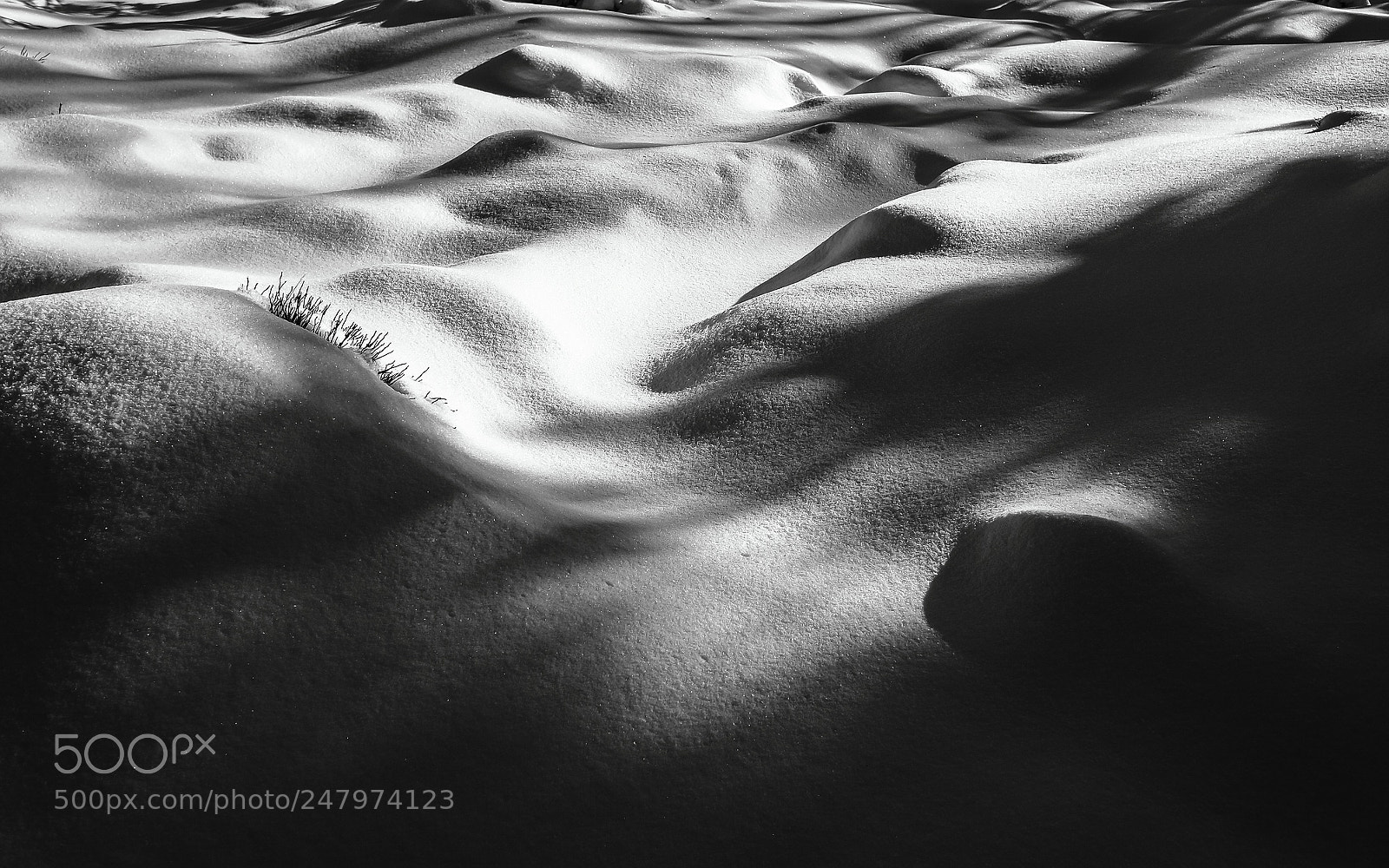 Olympus OM-D E-M1 Mark II sample photo. Ice dunes and chrystals photography