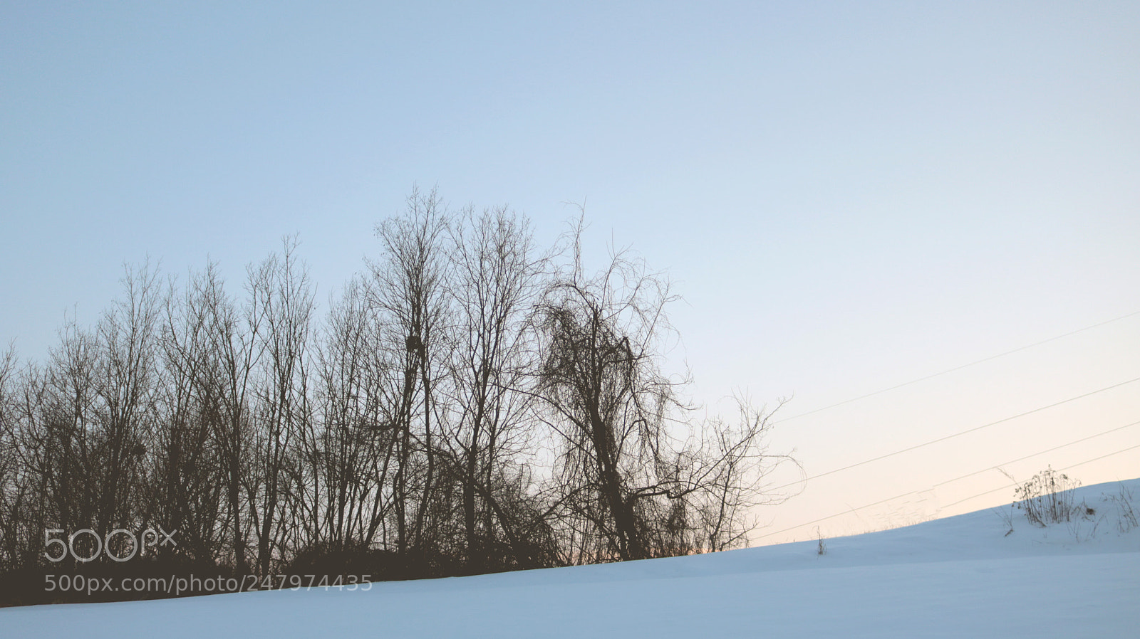 Canon EOS 750D (EOS Rebel T6i / EOS Kiss X8i) sample photo. Winter forest photography