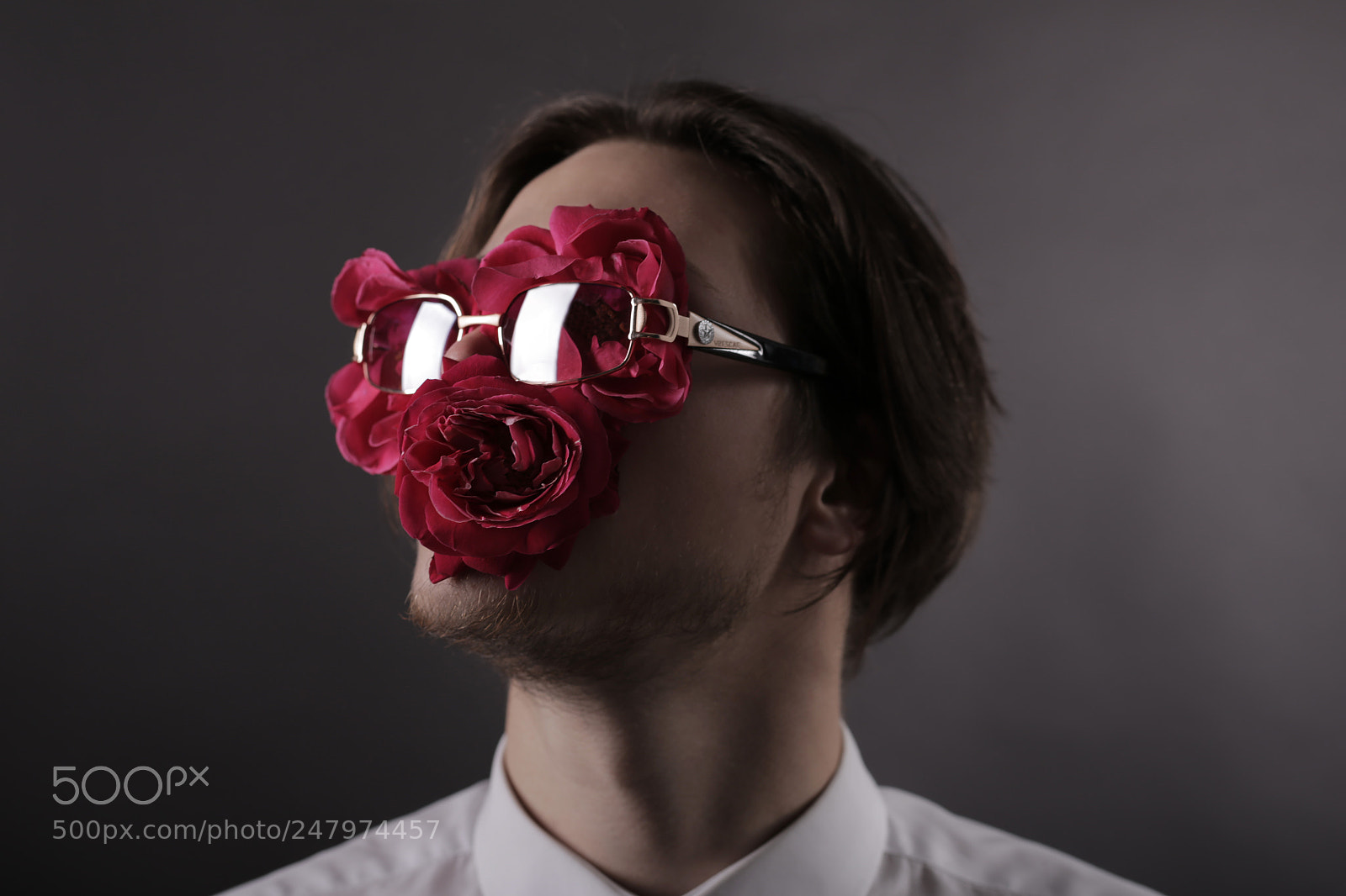 Canon EOS 6D sample photo. Roses are red photography
