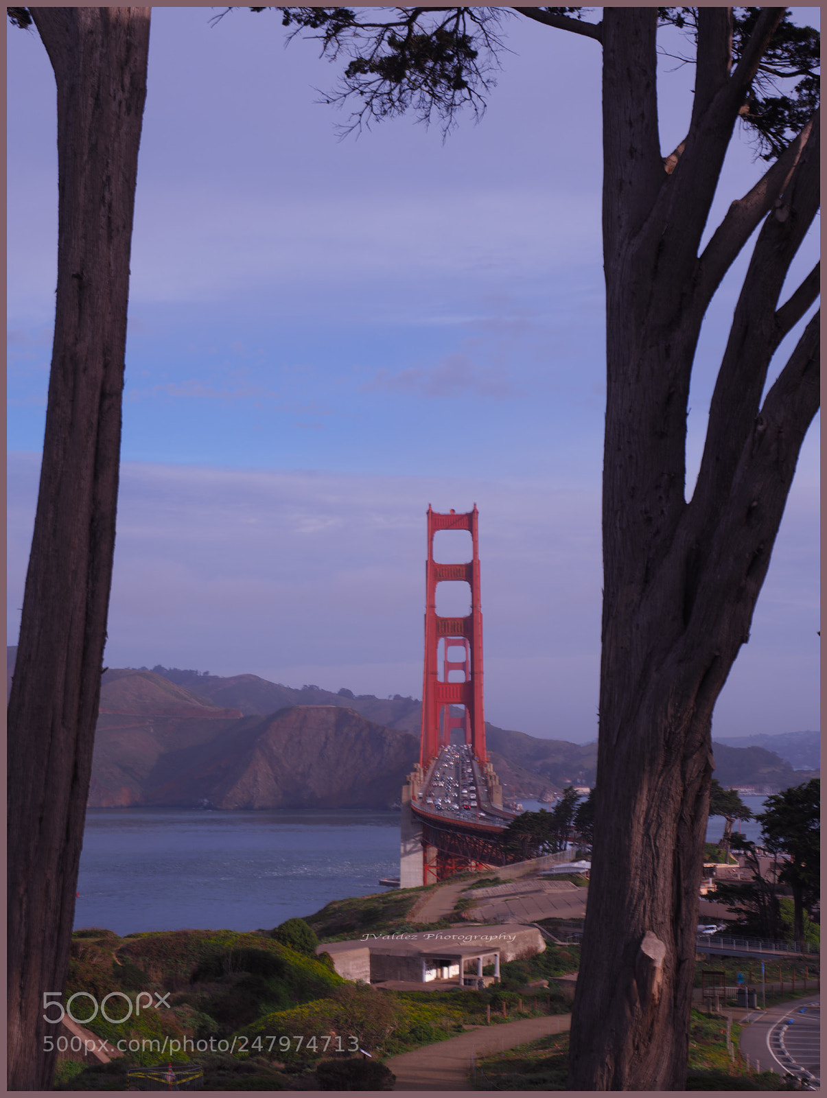 Olympus OM-D E-M1 Mark II sample photo. Golden gate between trees photography