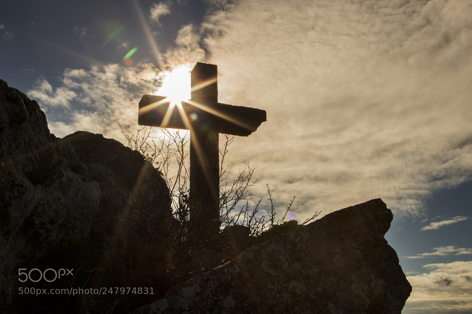 Canon EOS 750D (EOS Rebel T6i / EOS Kiss X8i) sample photo. En el nom del photography