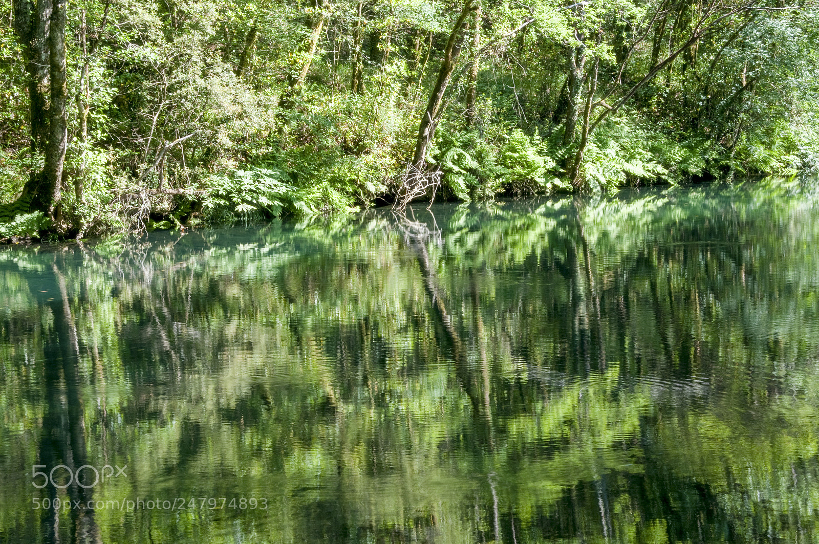 Nikon D300S sample photo. Eume photography