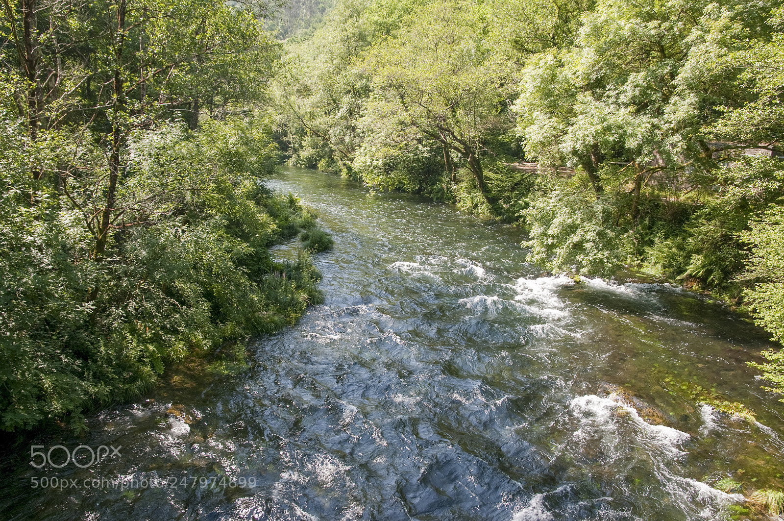 Nikon D300S sample photo. Eume photography
