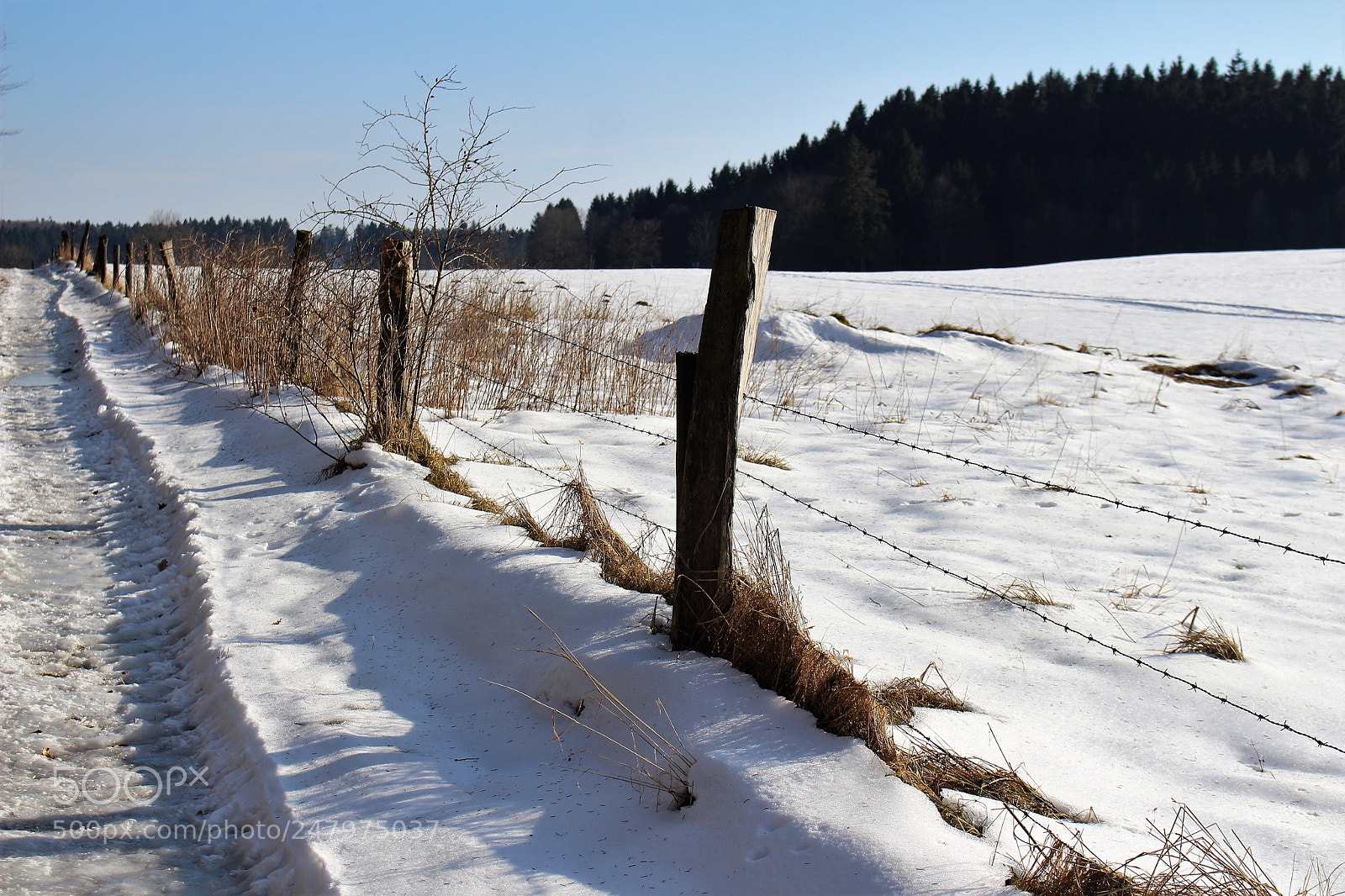Canon EOS 700D (EOS Rebel T5i / EOS Kiss X7i) sample photo. Gefrorener weg photography