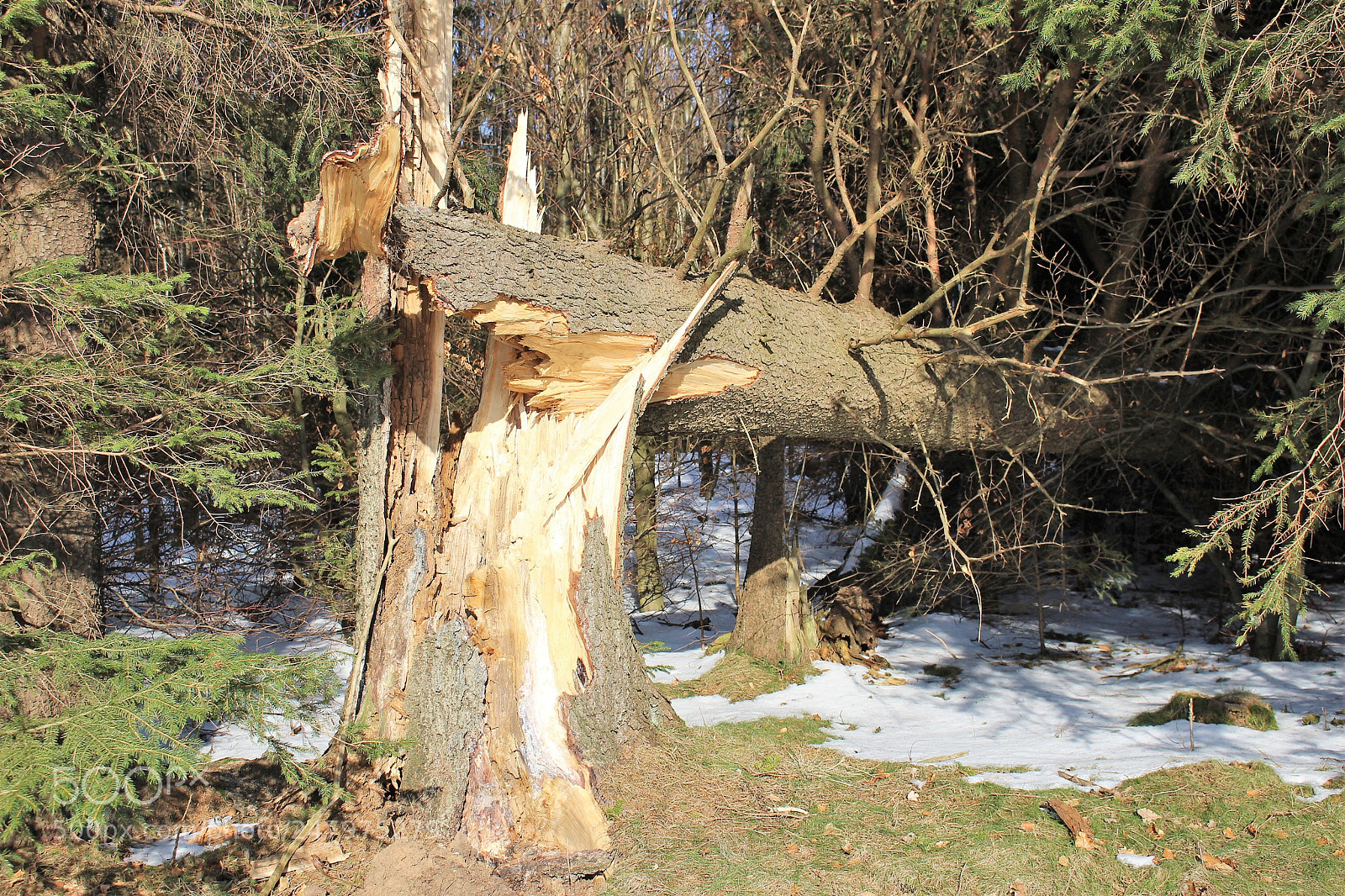 Canon EOS 700D (EOS Rebel T5i / EOS Kiss X7i) sample photo. Broken photography