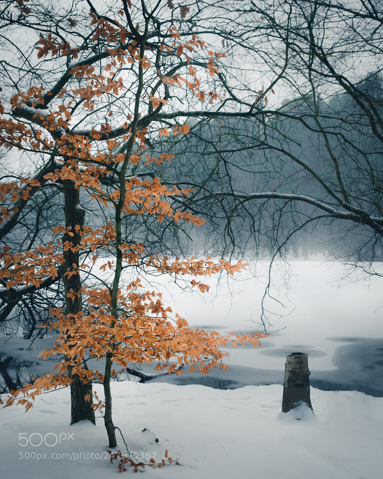 Fujifilm X-T10 sample photo. Ice and fire (1) photography