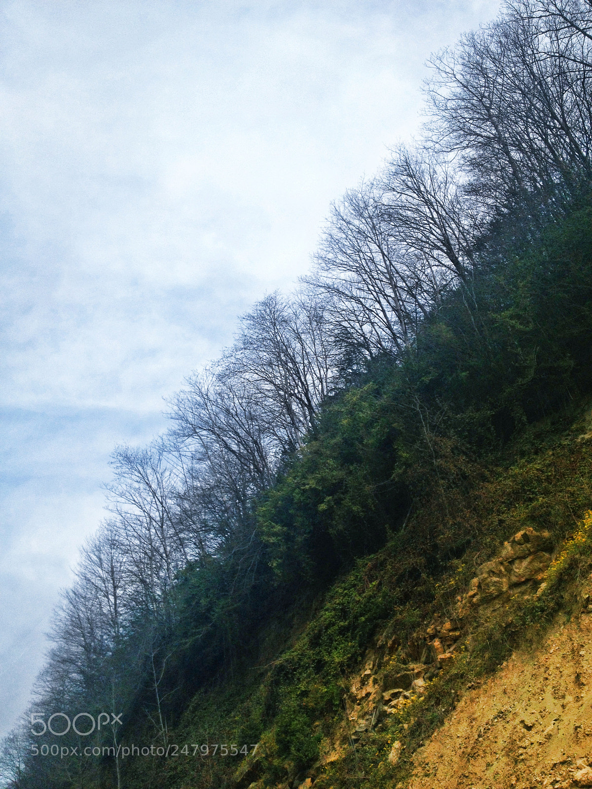 Apple iPhone 4S sample photo. Untitled photography