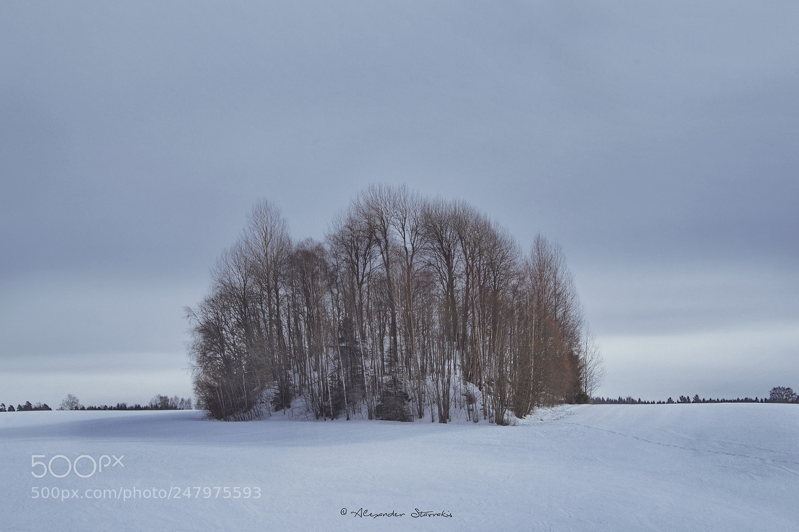 Nikon D3100 sample photo. White landscape photography