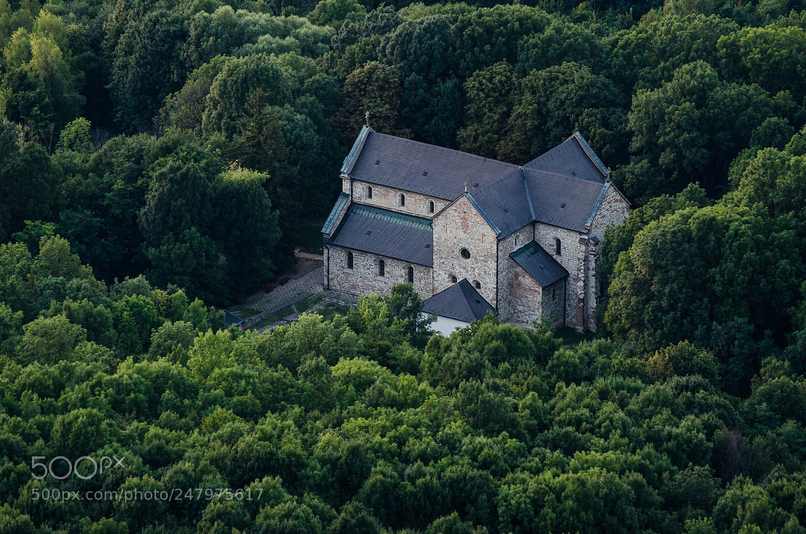 Nikon D5100 sample photo. Abbey in the forest photography